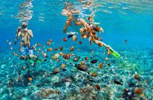 Rose Island Multi-stop Snorkel Tour - Coral reef & Pristine Beach