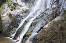 Trek to a Jungle Waterfall