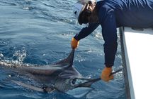 Fishing Charter In Tamarindo With Food & Beverages