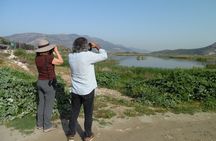 Bird Watching Tour from Kusadasi