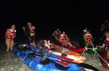 Bioluminescence Tour in Kayak in Holbox Island