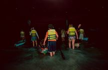 Bioluminescence Tour in Kayak in Holbox Island