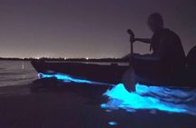 Bioluminescence Tour in Kayak in Holbox Island