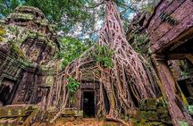 Cambodia 7 Day from Siem Reap to Battambang and Phnom Penh
