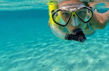 Roatan Snorkeling Tour
