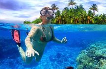 Roatan Snorkeling Tour