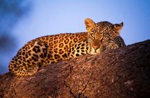 3-Day Safari Tour in two National Parks