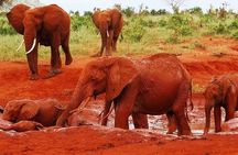 3-Day Private Tour in Tsavo East and Tsavo West