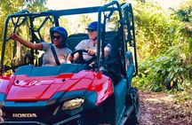 Jungle Buggies & Ziplining from Punta Cana