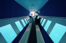  3 Hour Yellow Semi Submarine Swimming Cruise with Drinks Included!