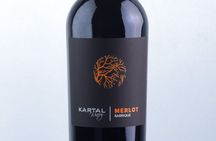 Premium Oak Aged Wines Tasting Tour in Family Winery Kartal in Skopje 