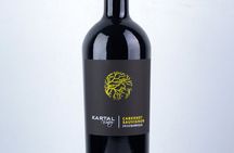 Premium Oak Aged Wines Tasting Tour in Family Winery Kartal in Skopje 