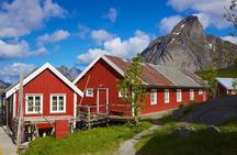 Special Summer Cruise Bus Tour of Lofoten