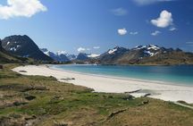 Special Summer Cruise Bus Tour of Lofoten