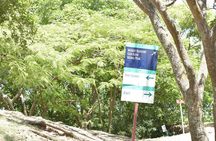 Explore Pigeon Island