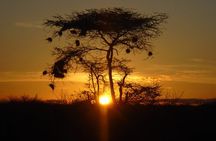2-Day Private Tour in Tsavo East