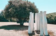 Coastal Towns and a taste of Istria: Gin, Wine & Olive Oil