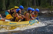 Soft Adventure Rafting on the Ottawa River