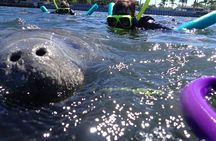 Private Manatee Snorkeling Tour