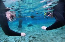 Private Manatee Snorkeling Tour