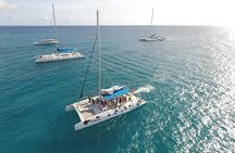 Saona Island Full Day Excursion from Punta Cana