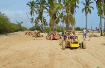 Extreme Boogie Tour in Punta Cana, Macao Beach and Cenote