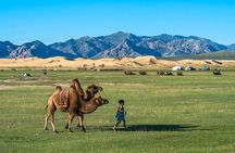 8 Day Private Tour to Ancient Capital of the Great Mongol Empire