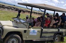 Full-Day Private Safari at Mikumi National Park with Lunch