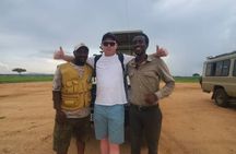 Full-Day Private Safari at Mikumi National Park with Lunch