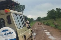 Full-Day Private Safari at Mikumi National Park with Lunch