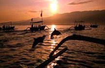 Bali Dolphin Lovina tour and Ulundanu Beratan