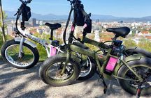 Rent Electric Bike