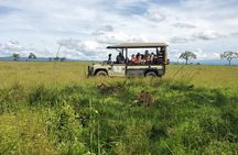 Full-Day Private Safari at Mikumi National Park with Lunch