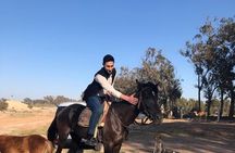 Horse Riding Agadir
