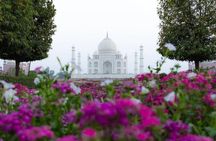 All Inclusive Same Day Taj Mahal and Agra Fort Tour from Delhi