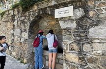 Private Guided Ephesus Shore Excursion For Cruise Travelers