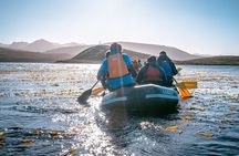 Full-Day Tour to Puerto Almanza from Tierra del Fuego