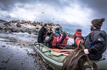 Full-Day Tour to Puerto Almanza from Tierra del Fuego
