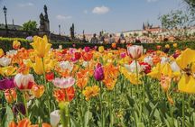 Photogenic Prague 6 hours tour by Car