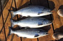 North End Salmon Charter