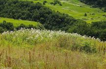 Valley Of Flowers Trek