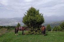 5 days Natural wonders of Issyk-Kul, Son-Kul and Chon-Kemin