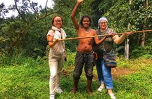 Cameron Highland Mossy Forest Experience Day Trip from Ipoh 