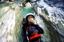 Full Day Shark Watching and Canyoneering in Cebu 