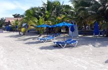 Negril 7 Miles Beach and Rick's Cafe Tour 