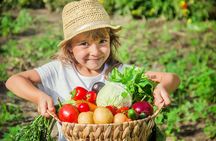Hands-On Cooking Class & Farmhouse Tour on the Amalfi Coast