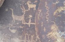 2 hour Moab Ebike Petroglyph Tour