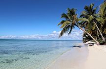 Saona Island From Punta Cana with transportation and lunch included