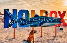 ECO-Adventure at Holbox Island and Cenote Yalahau from Cancun & Playa Del Carmen