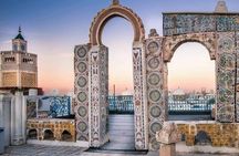 Private tour: Medina,Carthage ,Sidi Bou Said, Bardo Museum+lunch